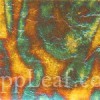 56e06b58497759972b67014b 20260826020013