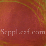Sunset Celestial Variegated Leaf @ seppleaf.com Sunset Celestial Variegated Leaf @ seppleaf.com