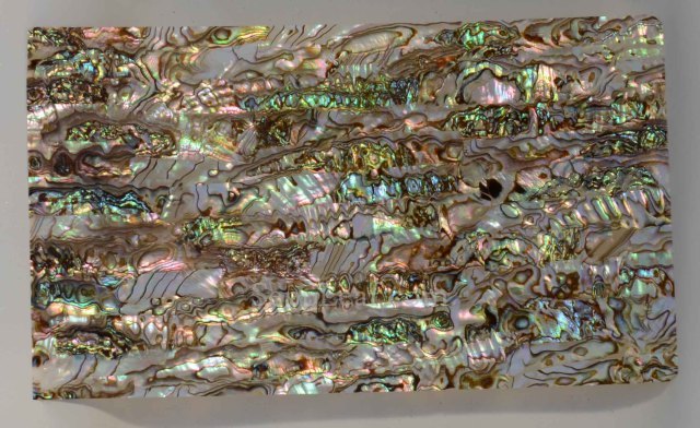 Abalone, Green AB Dark Veneer, 5.5