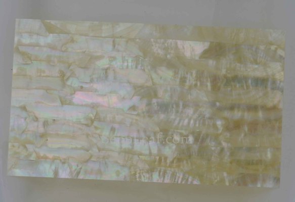 Abalone, Gold Mop Veneer, 5.5