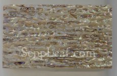 Abalone, Pink Veneer, 5.5