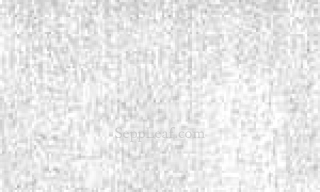 Mica Powder, Magna Pearl Silver, 1kg @ seppleaf.com