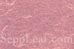 61601ca117f88cc7108b4596 20260826131122