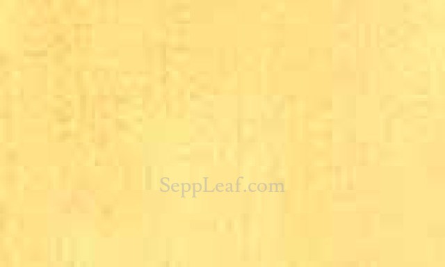 Mica Powder, Micro Brass, 100g @ seppleaf.com